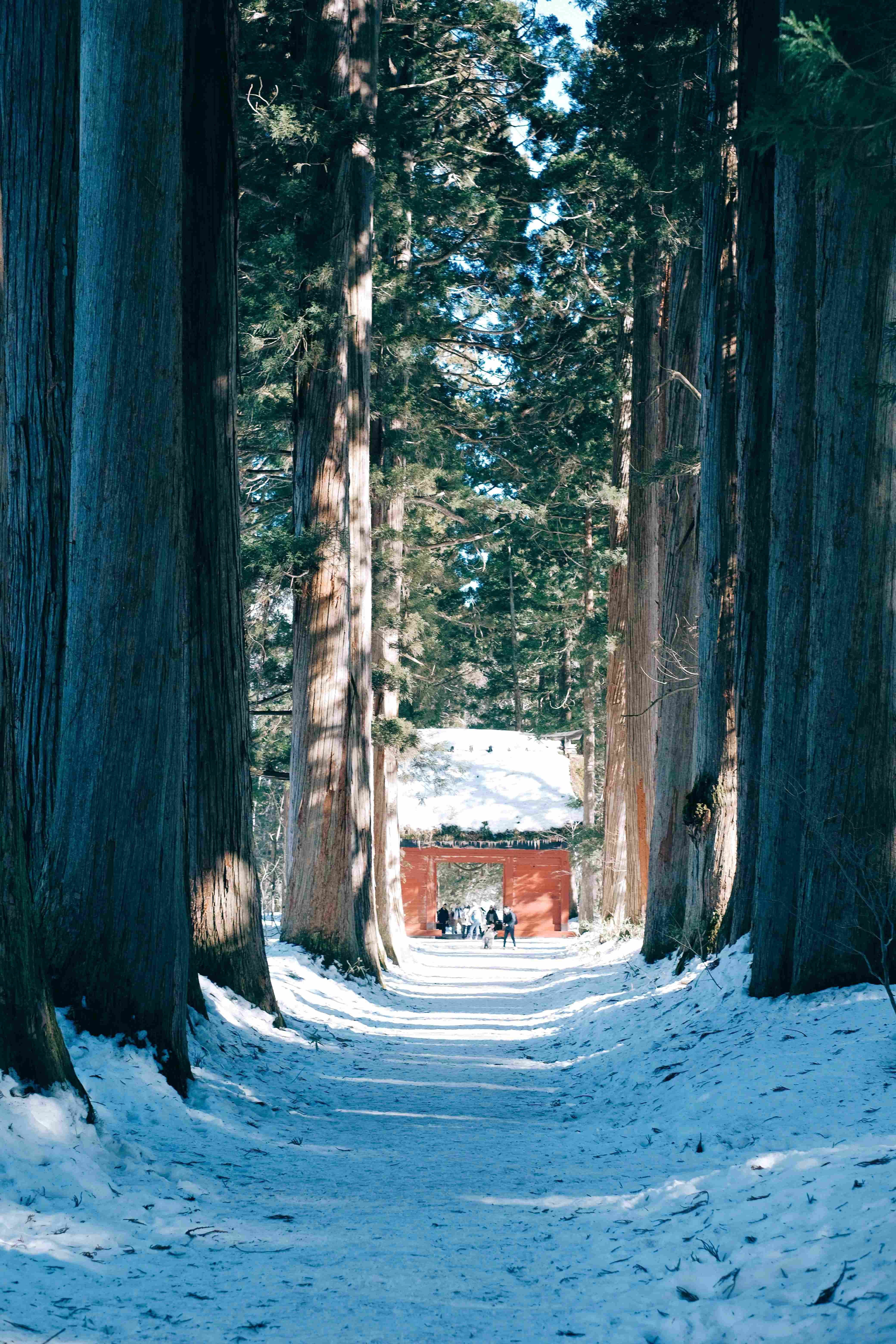 ⛩️ 높은 배나무 신사 (타카나시 진자) 이미지 4